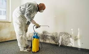 Best Water Damage & Mold Remediation  in Two Rivers, WI