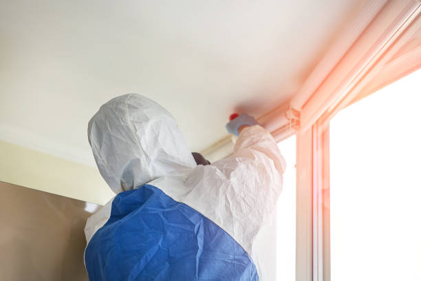 Environmental Consulting for Mold Prevention in Two Rivers, WI