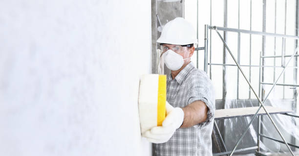 Best Commercial Mold Inspection  in Two Rivers, WI