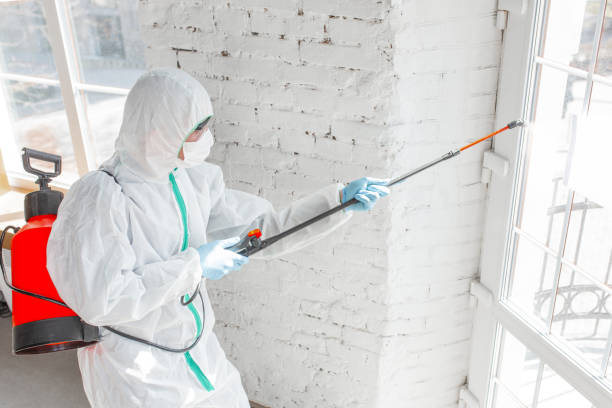 Professional Mold Removal & Remediation in Two Rivers, WI