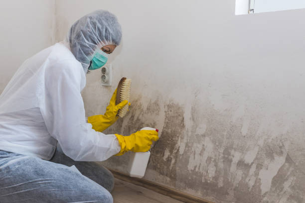 Mold Remediation for Rental Properties in Two Rivers, WI