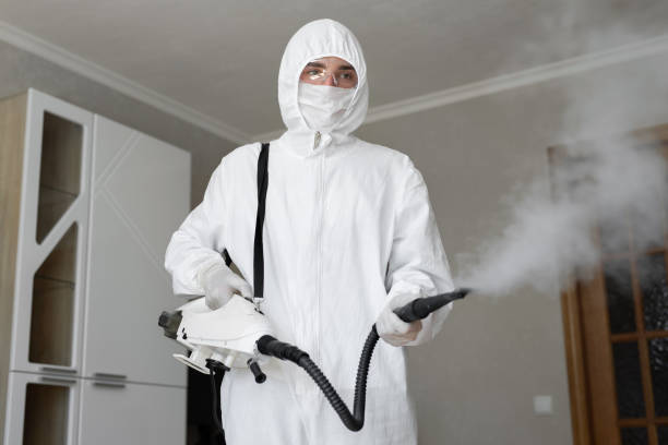 Best Environmental Consulting for Mold Prevention  in Two Rivers, WI