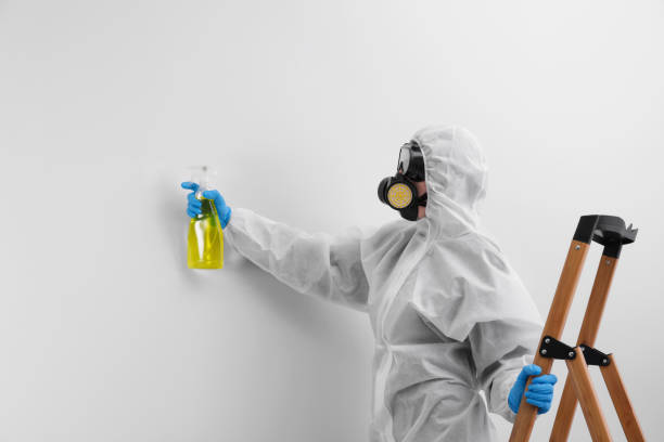 Best Mold Odor Removal Services  in Two Rivers, WI